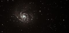 M101 - Die Pinwheel-Galaxie