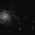 M101 - Feuerrad Galaxie