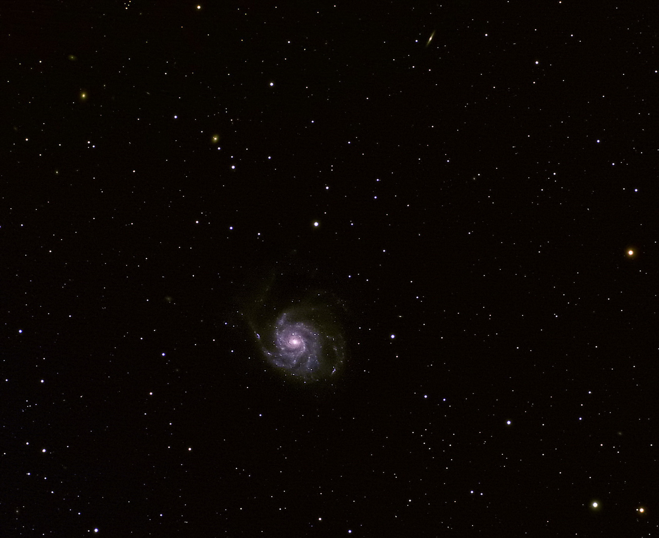 M101 Pinwheel Galaxie