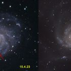 M101 Supernova erwischt...