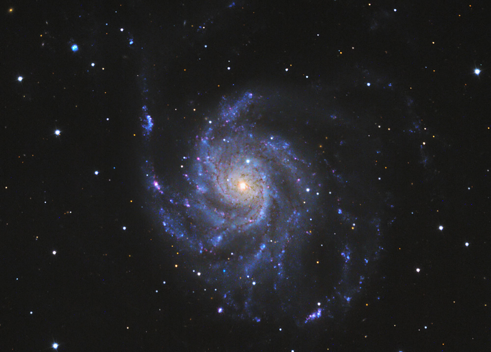 M101 und die Supernova von August 11