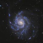 M101 und die Supernova von August 11