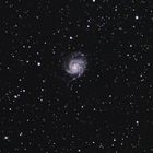 M101 und NGC5474