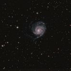 M101 Widefield