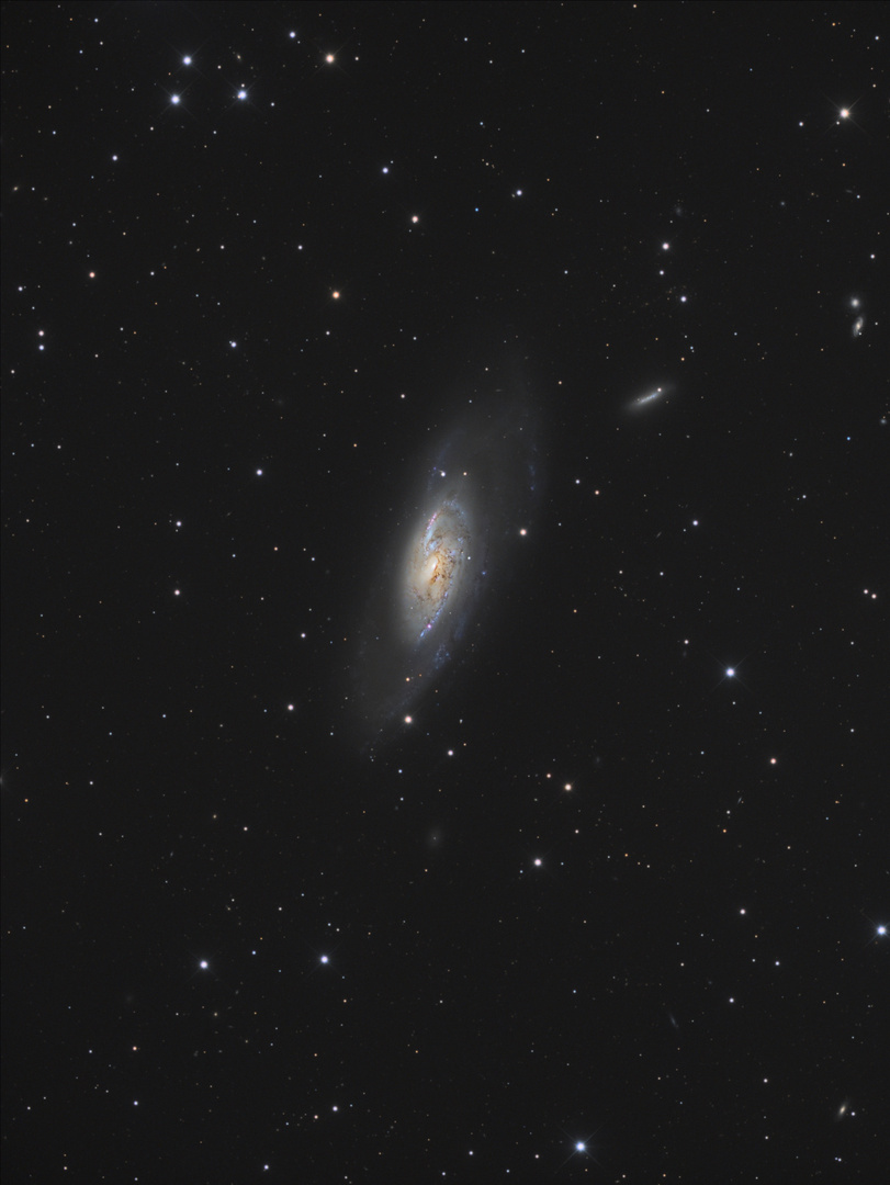 M106