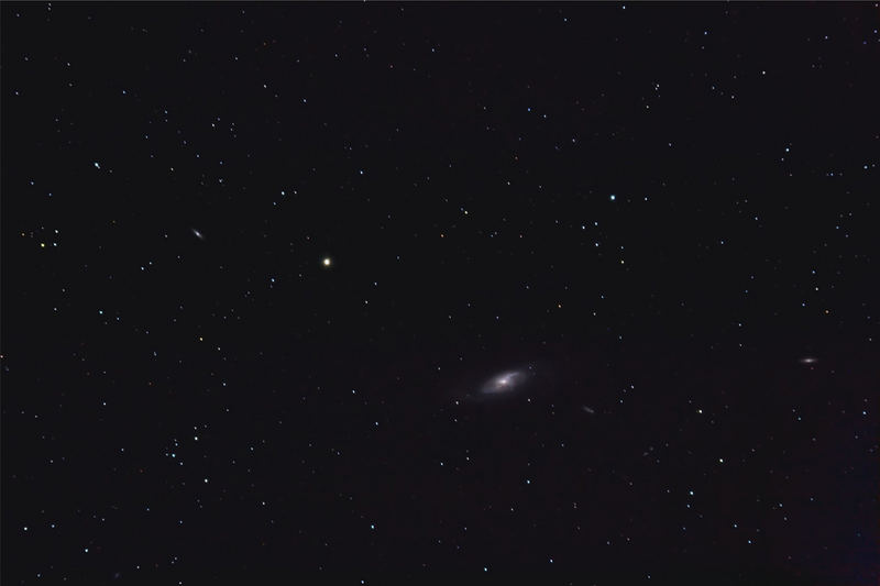 M106 mit Begleitern in den Jagdhunden