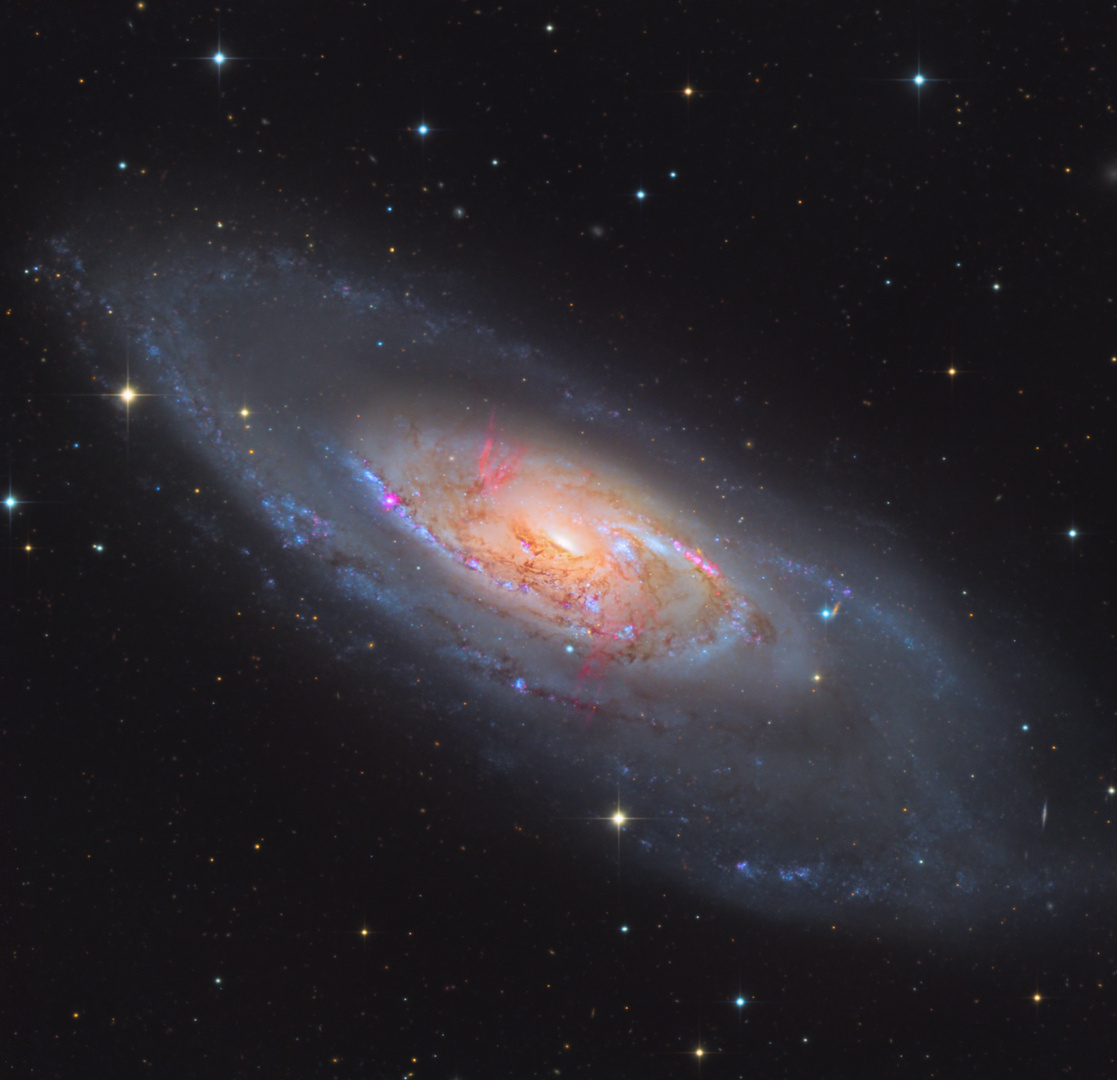 M106 - Spiralgalaxie im Sternbild Jagdhunde