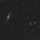 M106 und NGC4217 in den Jagdhunden