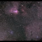 M17 im Sternbild Schütze als Widefieldaufnahme