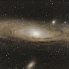 M31