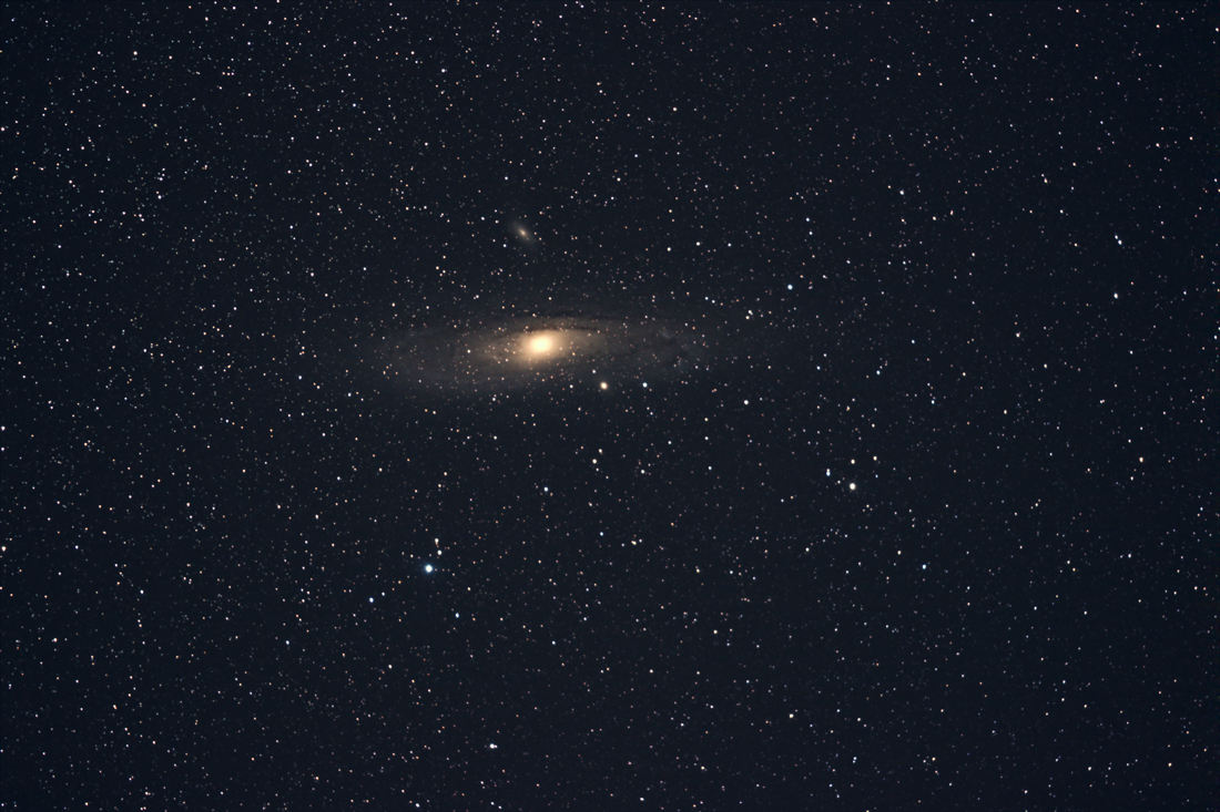 M31