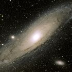 M31