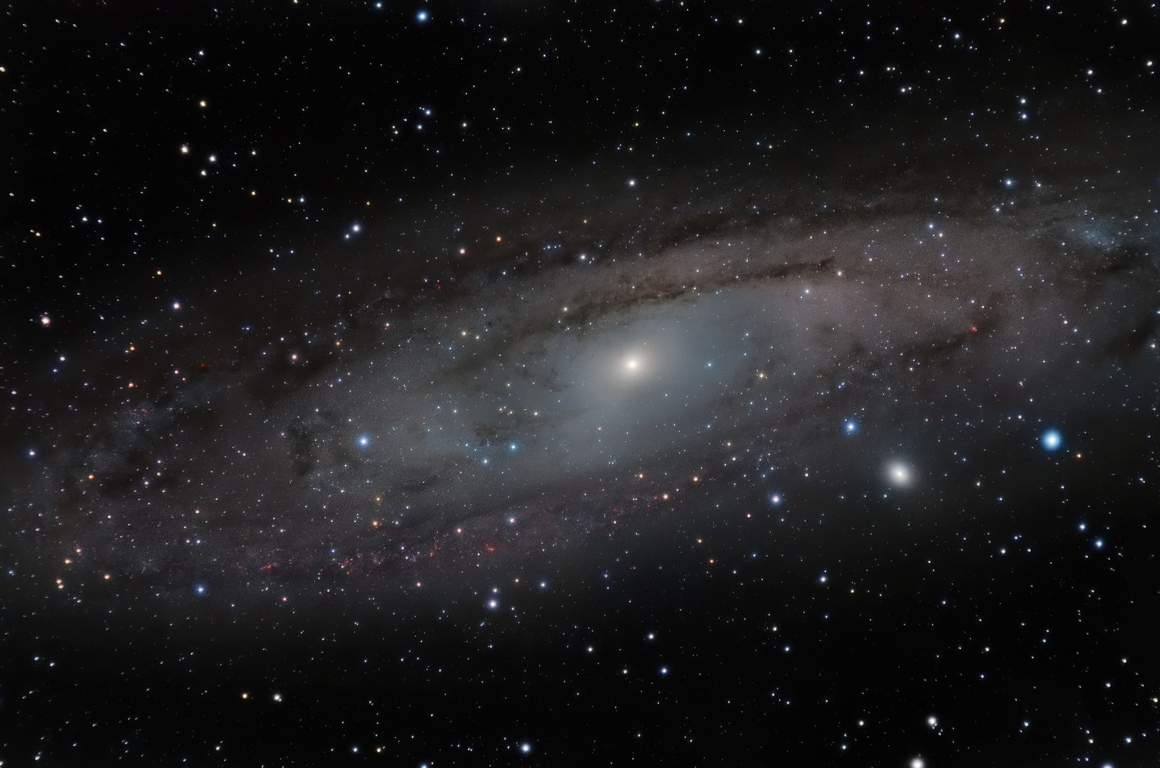 M31