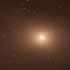 M31