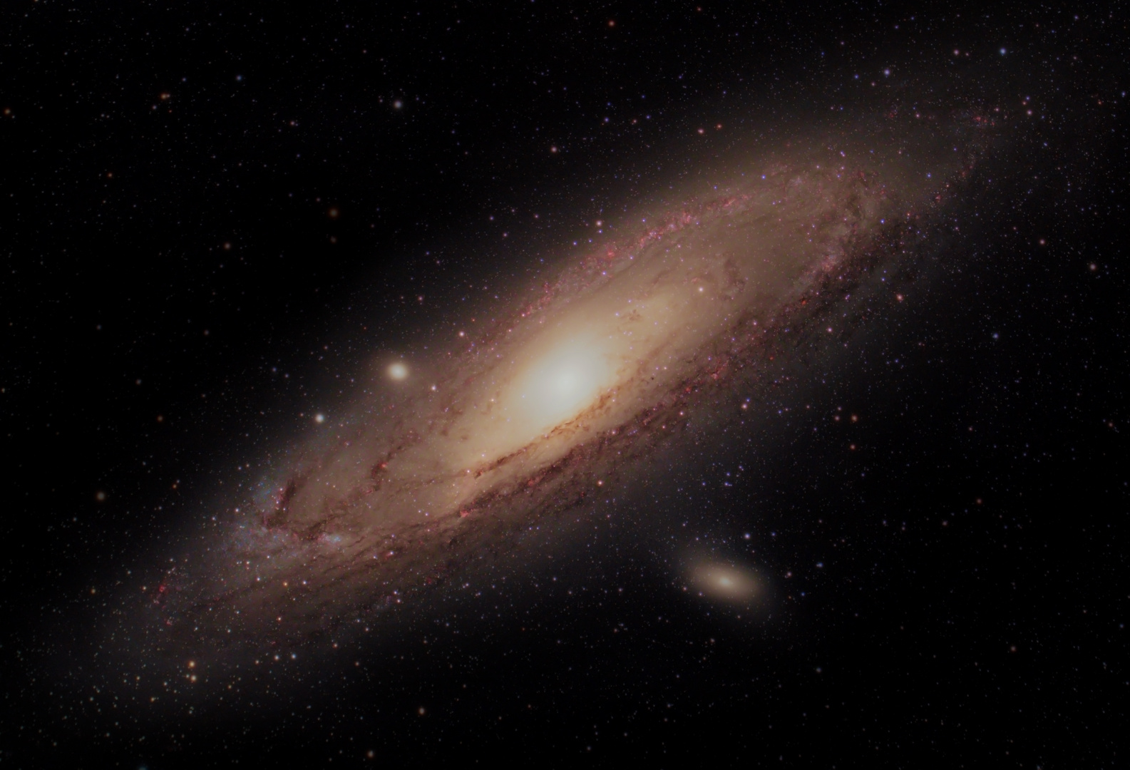 M31 die Andromeda Galaxie