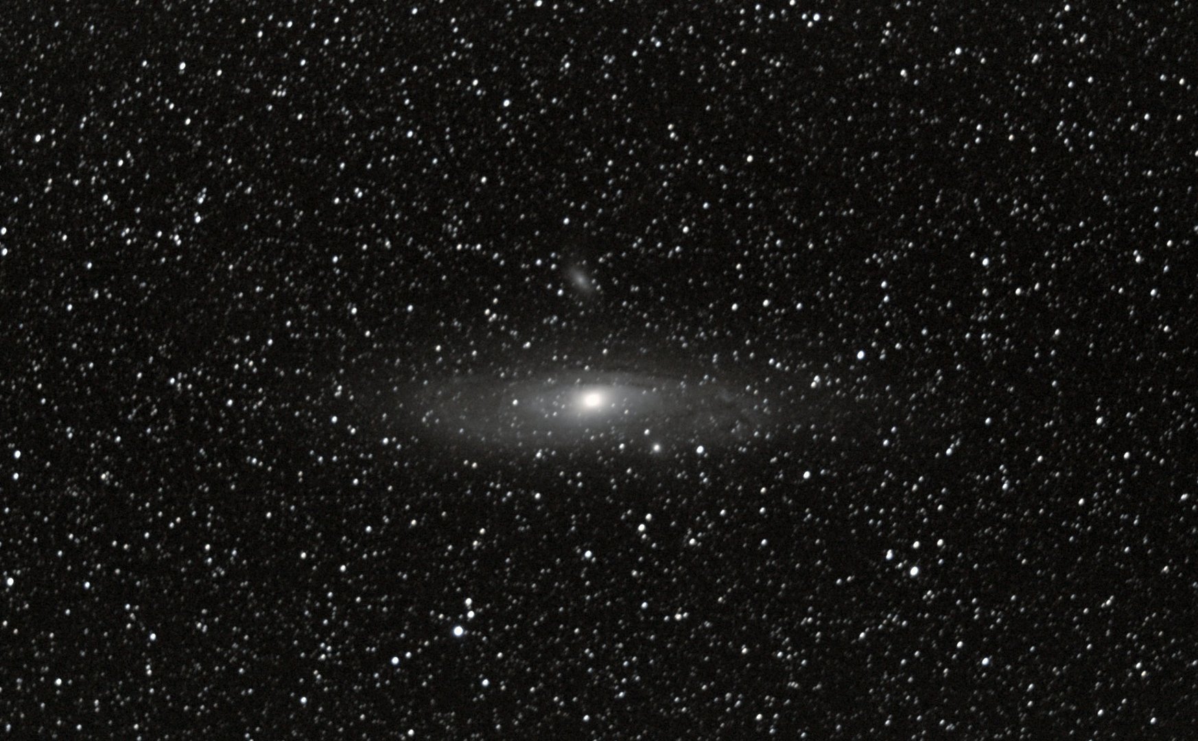 M31