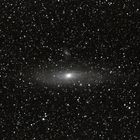 M31