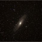 M31