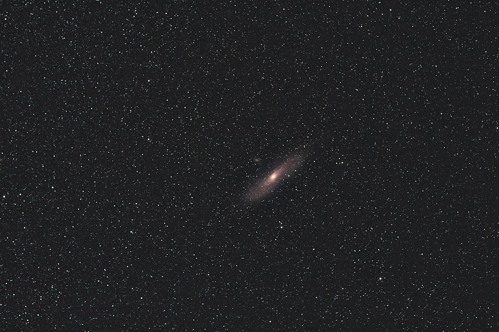 M31