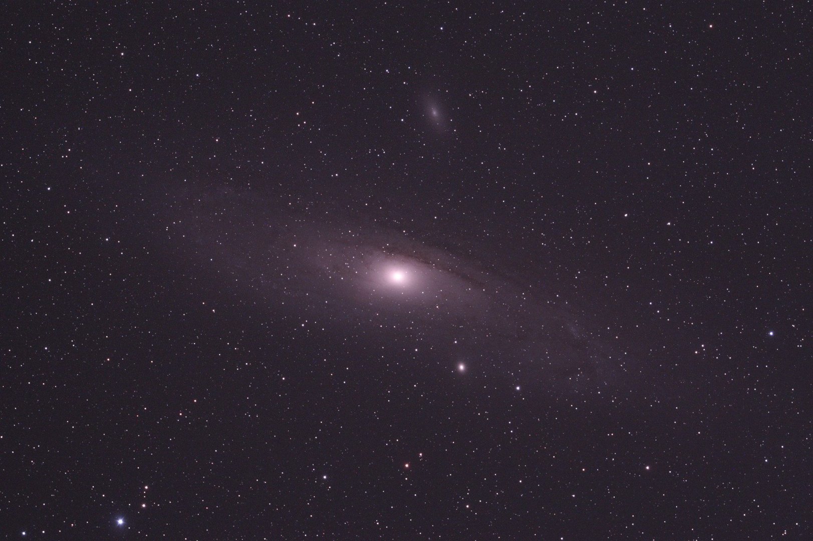 M31 Rohbild