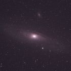 M31 Rohbild