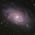 M33 