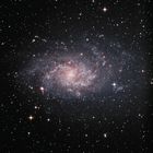 M33