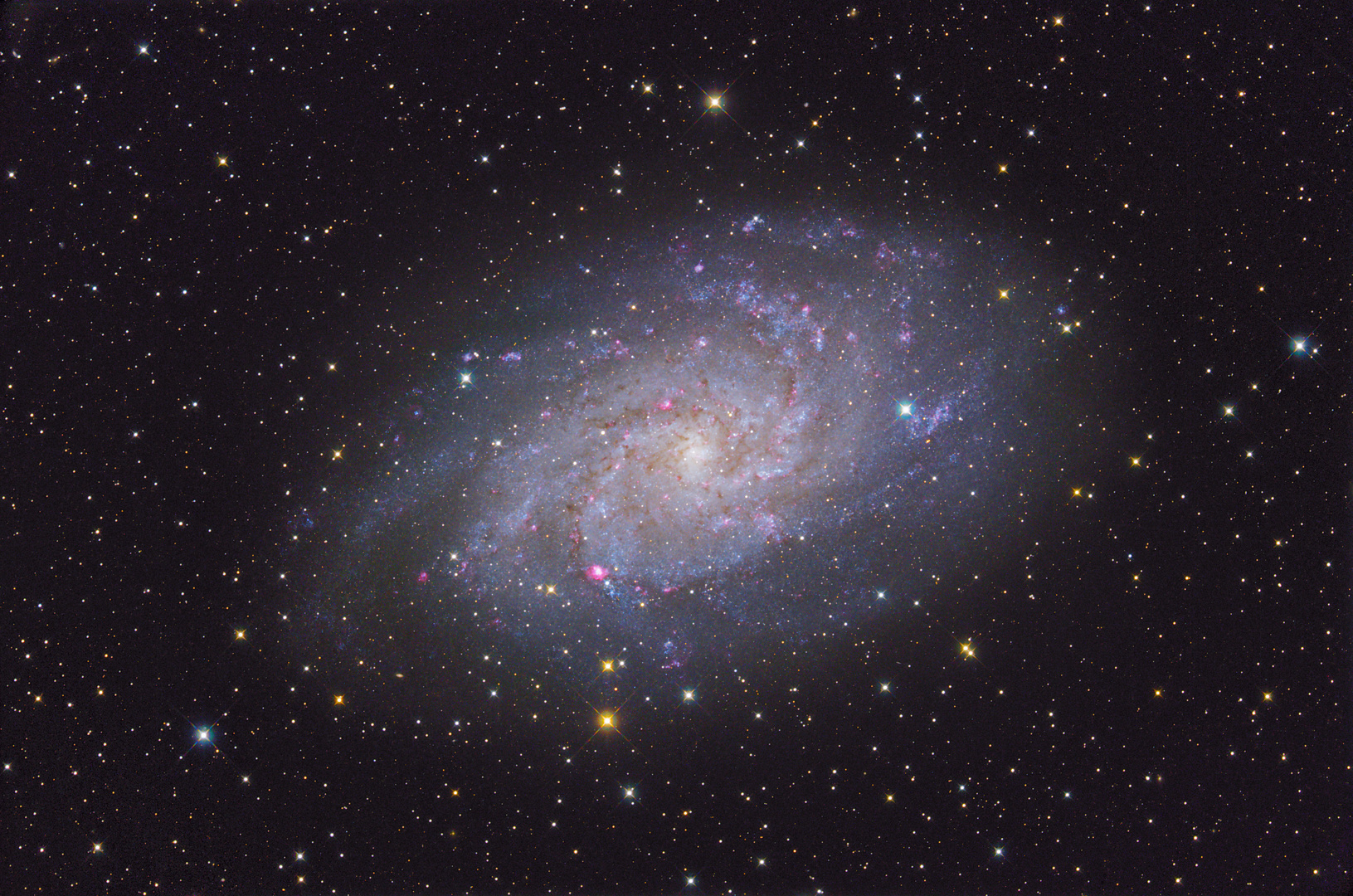 M33