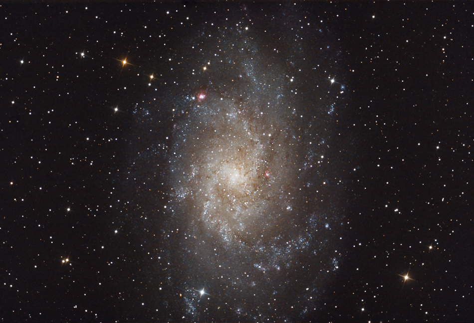 M33