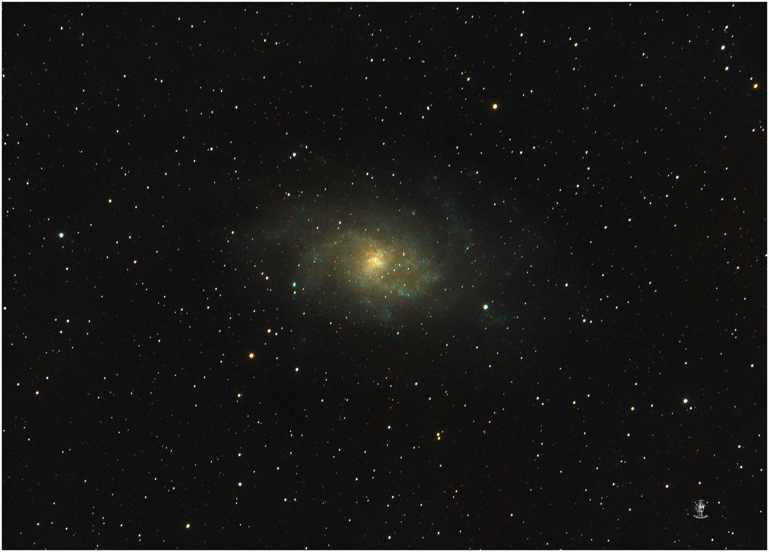 M33