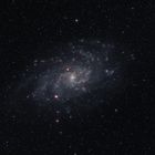 M33