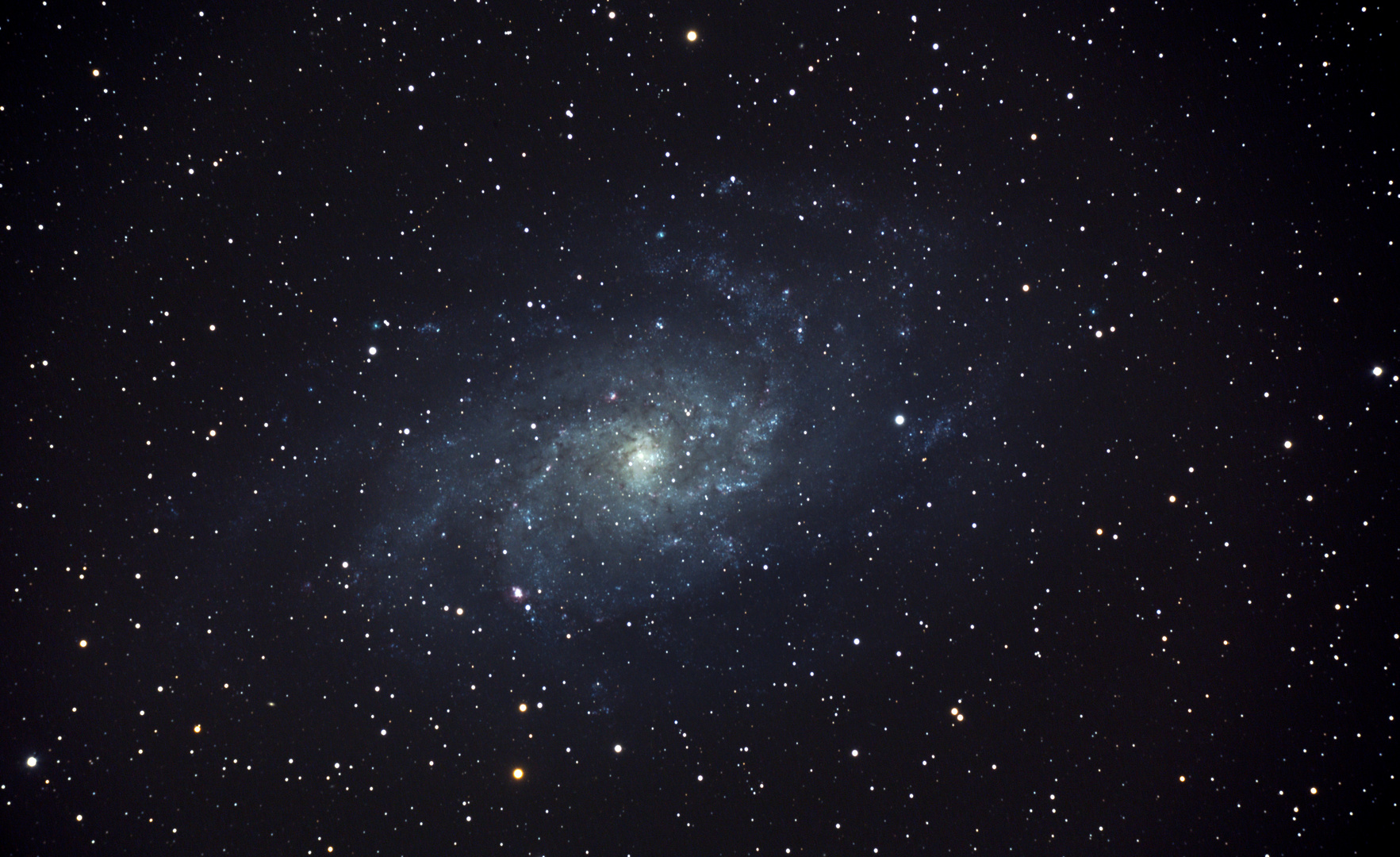 M33