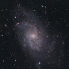 M33 - Galaxie im Dreieck