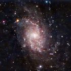 M33 Triangulum-Galaxie oder auch Dreiecksgalaxie