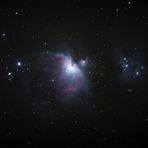 M42 Bunt