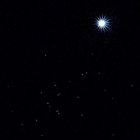 M44 mit Venus