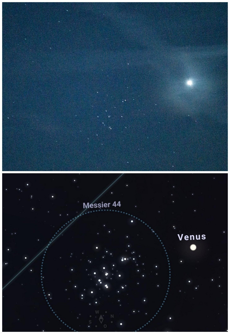 M44 mit Venus