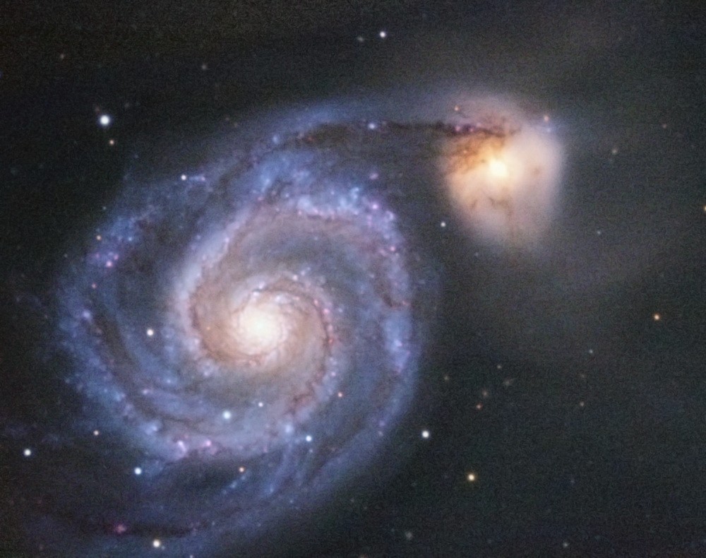 M51 in den Jagdhunden