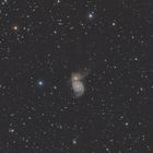 M51 Whirlpool Galaxy