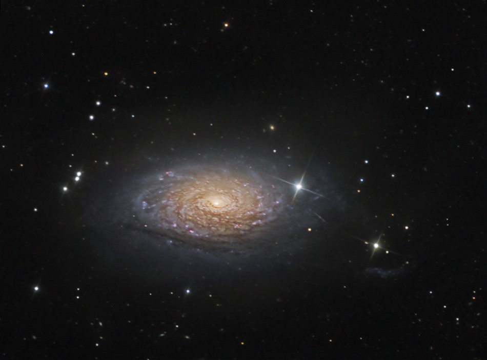 M63 die "Sonnenblumengalaxie"