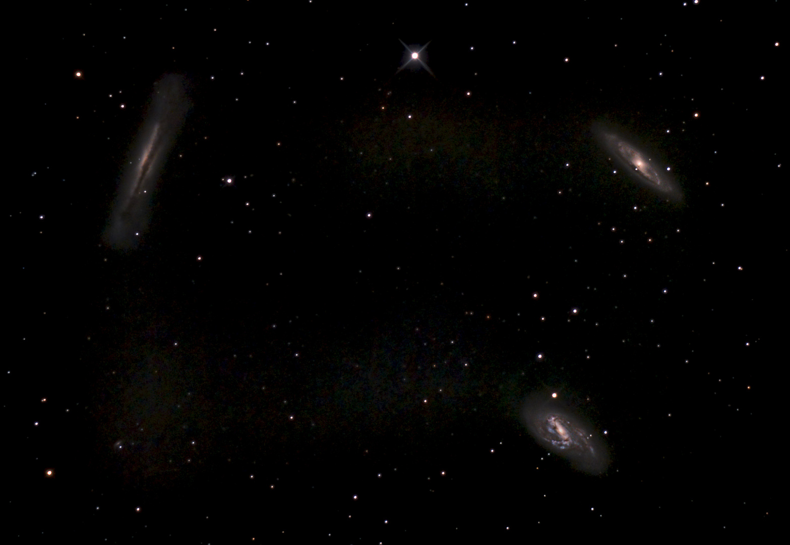 M65, M66 und NGC 3628 - Das Leo Triplet