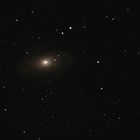 M81