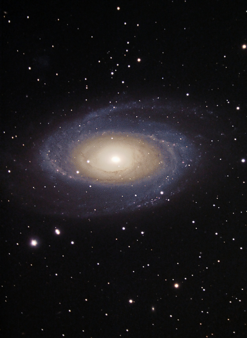 M81