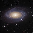 M81