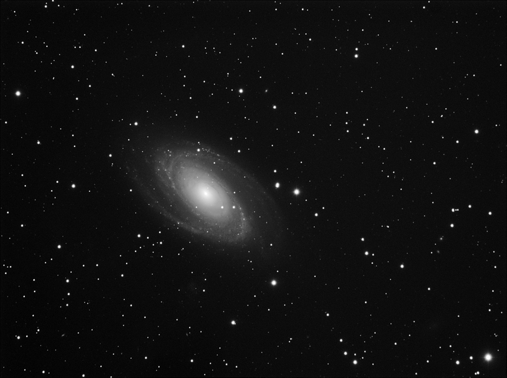 M81