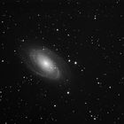 M81