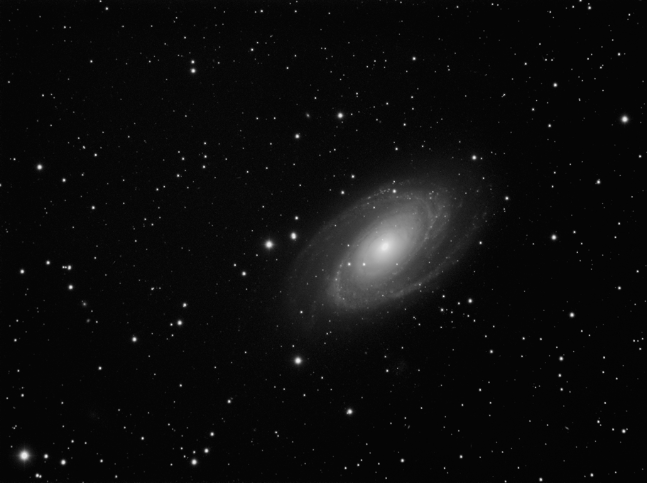 M81