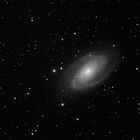 M81