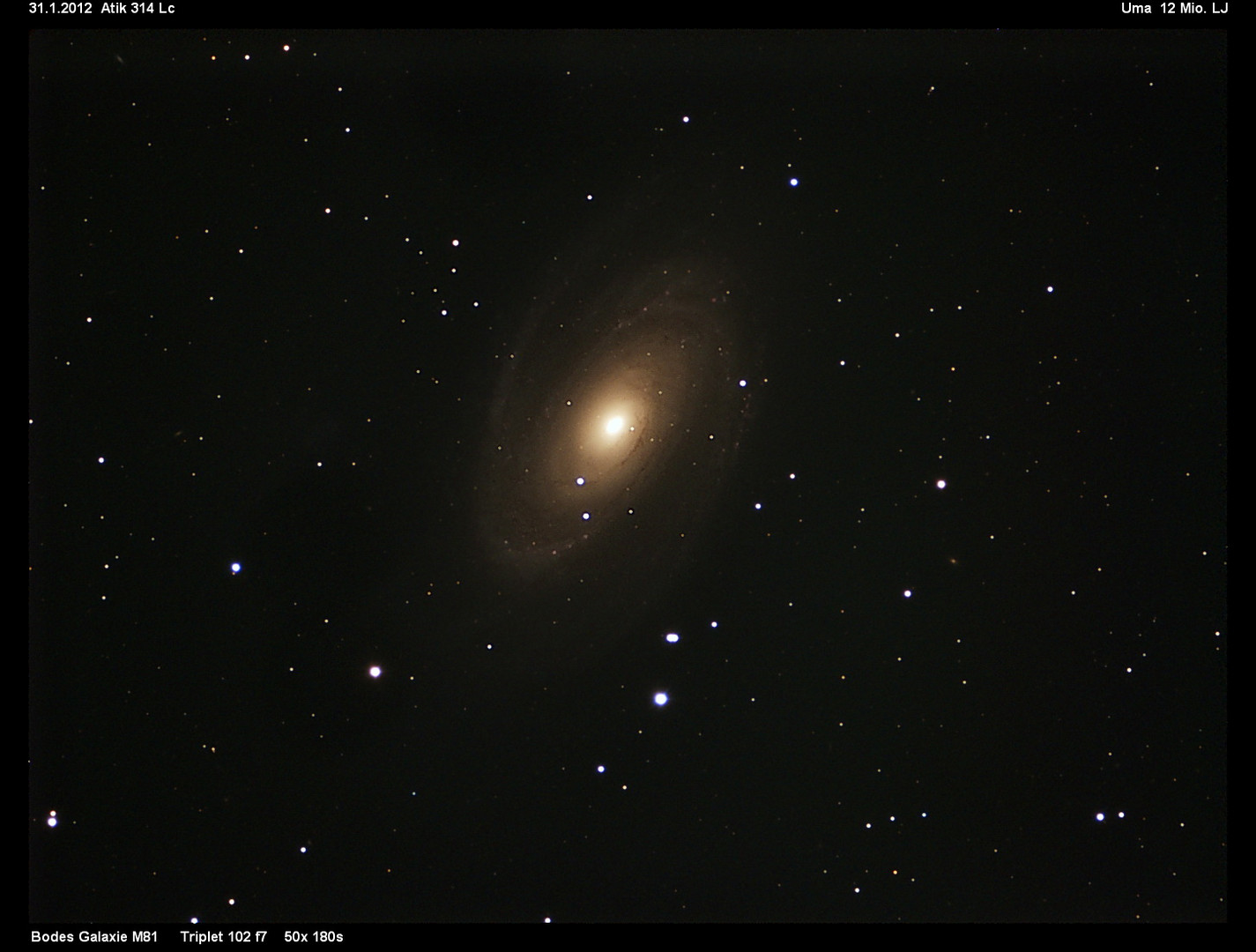 M81 als Lückenbüßer