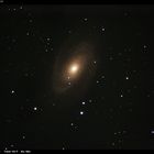 M81 als Lückenbüßer